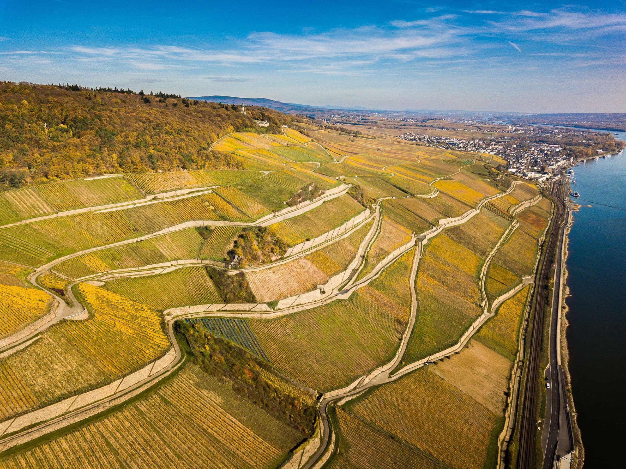 Herbstliche Weinberge über einem Fluss