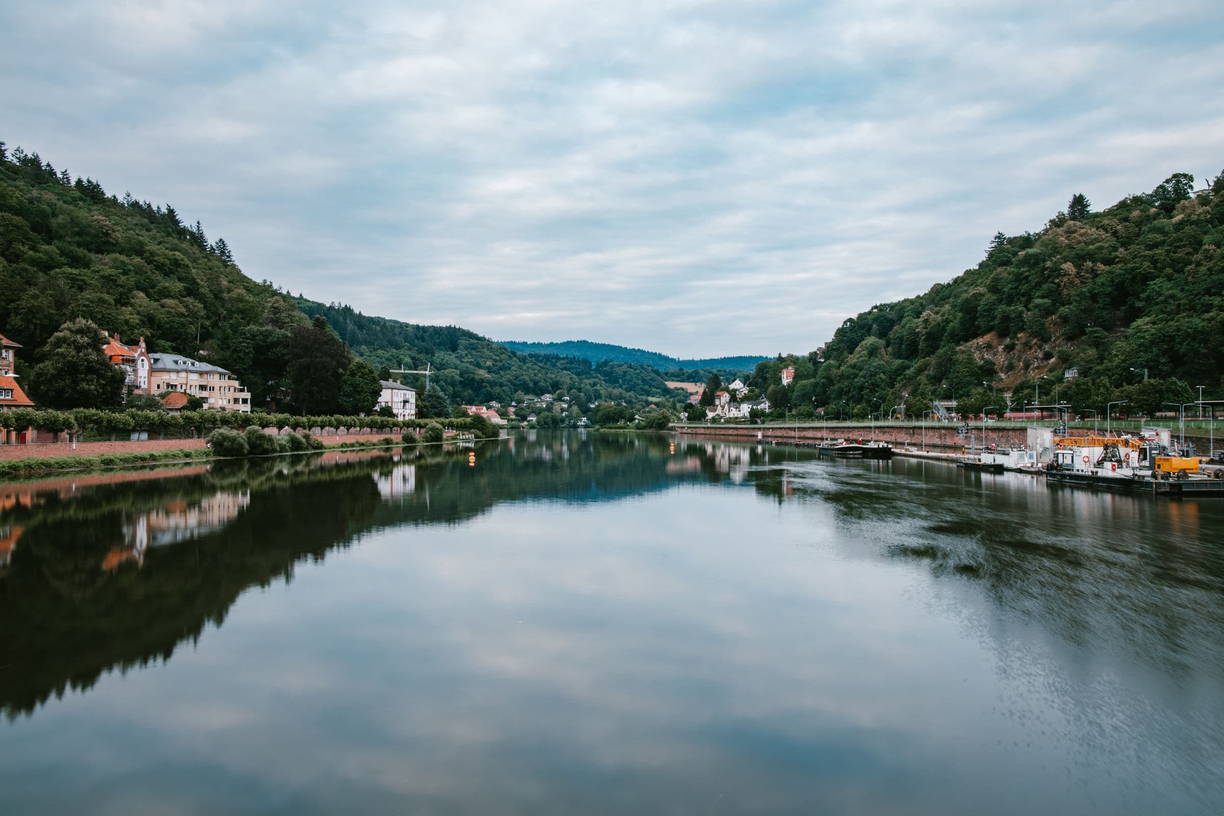 Der Neckar zwischen bewaldeten Hängen