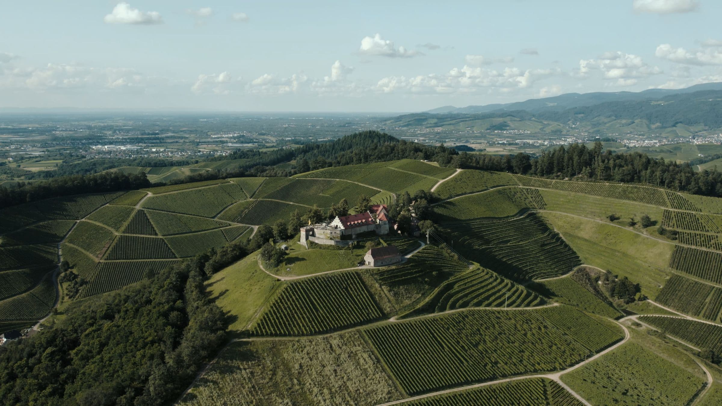 Weinberge mit Hof auf einer Hügelkuppe